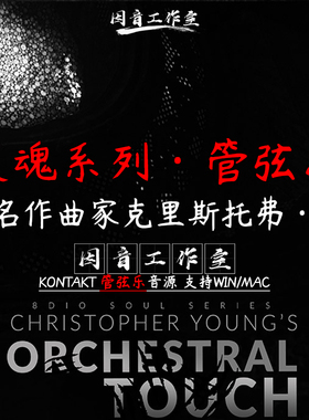 灵魂管弦乐Soul Orchestral Touc克里斯托弗·杨音色独到富有张力