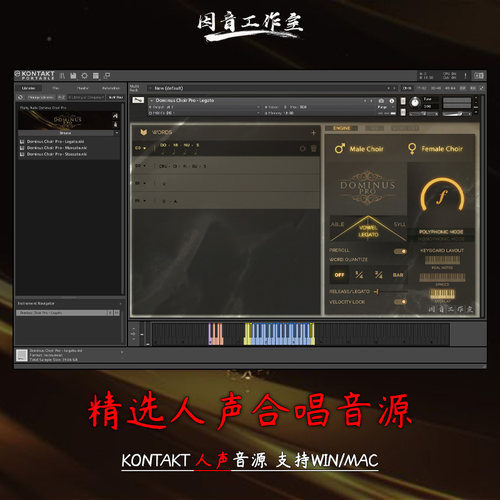 精选优质人声合唱团音源Fluffy Audio Dominus Choir Pro kontakt