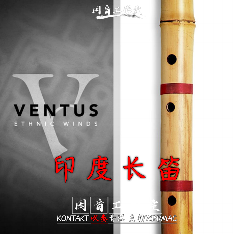 印度竹笛长笛 笛子民乐音源Ventus Ethnic Winds Bansuri古色古风 乐器/吉他/钢琴/配件 软音源 原图主图