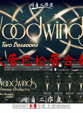 大管巴松管合奏Strezov Sampling Two Bassoons木管音源 Ensemble