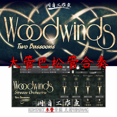 大管巴松管合奏Strezov Sampling Two Bassoons木管音源 Ensemble