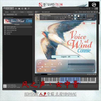 风之声优美女中音kontakt音源Soundiron Voice Of Wind Connie
