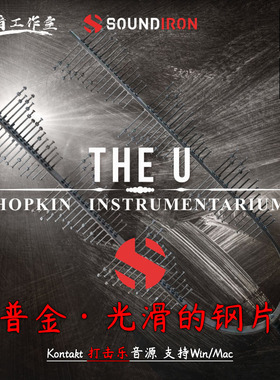 霍普金创意乐器音源 光滑的钢片琴 Hopkin Instrumentarium The U
