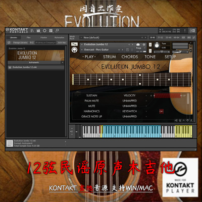 12弦民谣原声木吉他音源Orange Tree Samples Evolution Jumbo 12