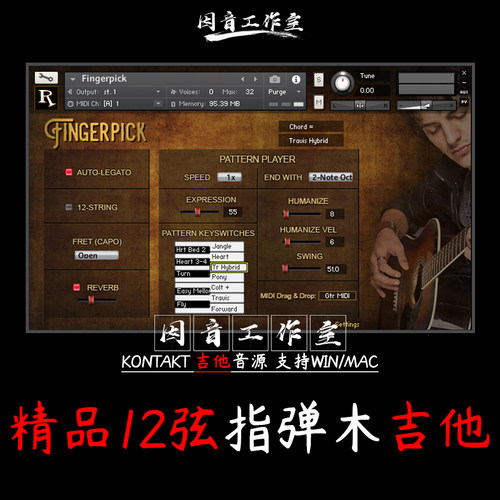 精品指弹 木吉他Realitone Fingerpick音色清澈12弦kontakt音色库