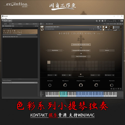 EvolutionSeriesColorsViolin