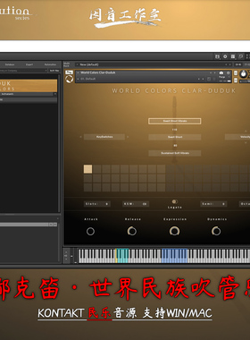 嘟嘟克笛Evolution Series World Colors Clar Duduk世界民族吹管