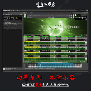 Hunter 动感系列木管乐器Kirk Woodwinds Kinetic Plus Studios