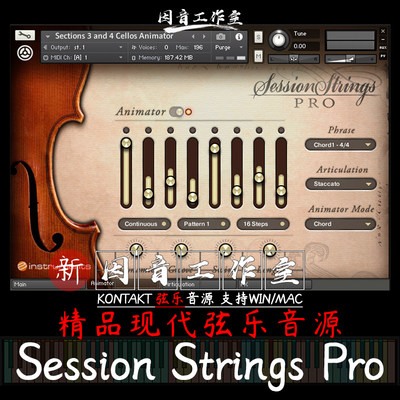 Session Strings Pro精品现代弦乐大中小低音提琴合奏kontakt音源