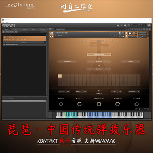 中国琵琶音源Evolution Series World Colors Pipa传统弹拨乐器
