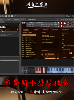 布鲁斯小提琴独奏音源Fluffy Audio Trio Broz Solo Violin v2.0