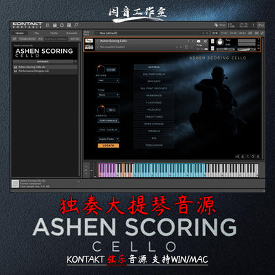 独奏情感大提琴音源氛围纹理Wavelet Audio Ashen Scoring Cello