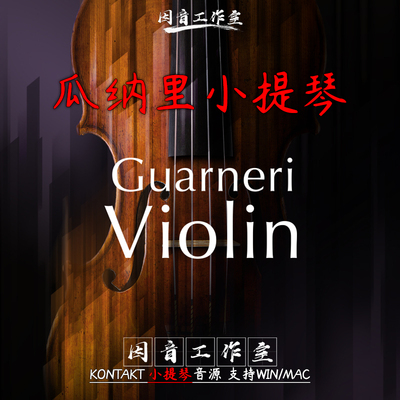 瓜纳里小提琴GuarneriViolin