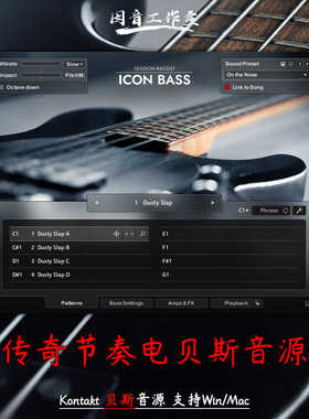 传奇节奏电贝斯音源Session Bassist Icon Bass编曲写歌配乐神器