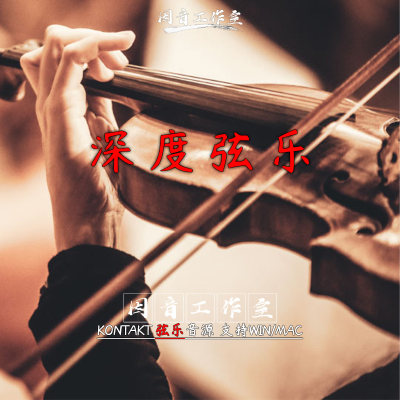 深度弦乐 音色库 8Dio Intimate Studio Strings v1.3 工作室弦乐