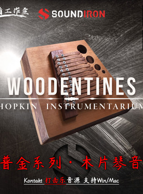 霍普金创意乐器木片琴打击乐Hopkin Instrumentarium Woodentines