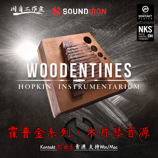 霍普金创意乐器木片琴打击乐Hopkin Instrumentarium Woodentines
