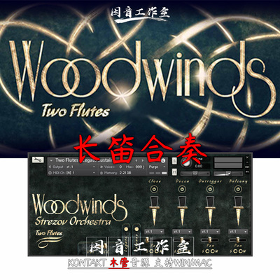 长笛合奏 Strezov Sampling Two Flutes 木管音源 FLUTE Ensemble