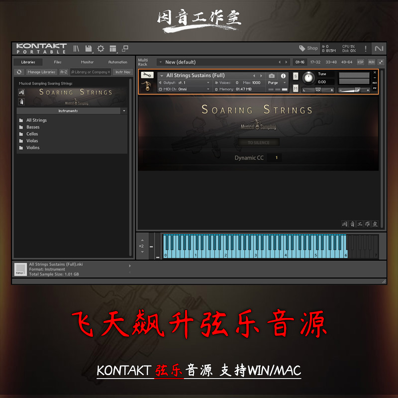 飞天弦乐音源之飙升Musical Sampling Soaring Strings音色柔美 乐器/吉他/钢琴/配件 软音源 原图主图