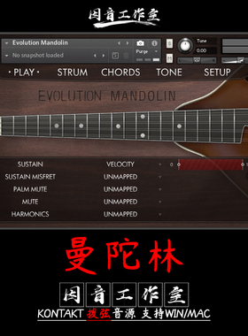曼陀林音源Orange Tree Evolution Mandolin适合乡村民谣音色逼真