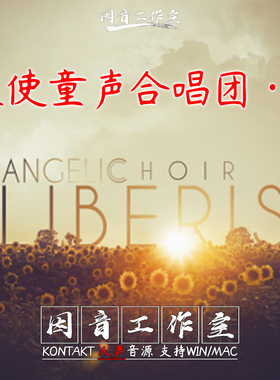天使儿童 新童声合唱音源8Dio Liberis Angelic Choir V2 kontakt