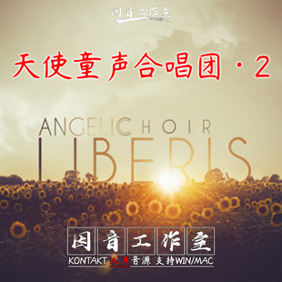 天使儿童 新童声合唱音源8Dio Liberis Angelic Choir V2 kontakt