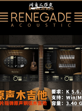 流行原声木吉他电吉他音源Renegade Acoustic/Electric Guitar