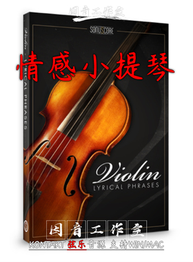 情感小提琴乐句音源抒情旋律Sonuscore Lyrical Violin Phrases