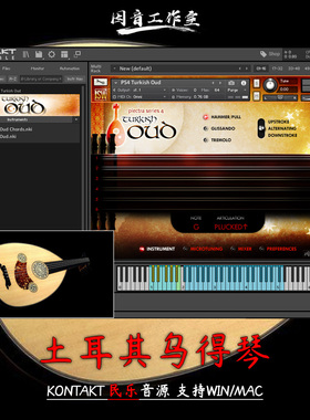 土耳其乌德琴kontakt拨弦民乐音源Impact Soundworks Turkish Oud