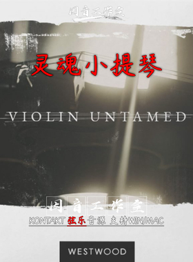 灵魂小提琴独奏音源Westwood InstrumentsViolin Untamed音色真实