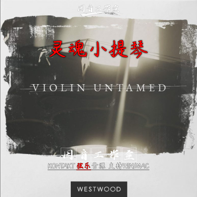 灵魂小提琴独奏音源Westwood InstrumentsViolin Untamed音色真实