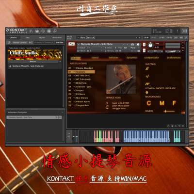 情感小提琴Fluffy Audio Simple Violin轻量简单小巧kontakt音源