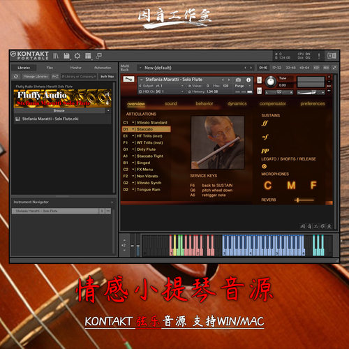 情感小提琴Fluffy Audio Simple Violin轻量简单小巧kontakt音源