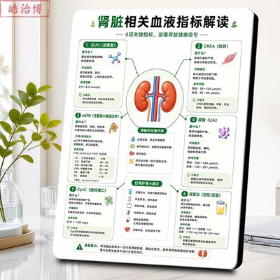 肾脏六项血液指标科普画相框肾功验血报告单解析日常护肾桌面摆台