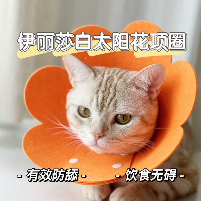 伊丽莎白圈新款宠物狗狗猫咪毛毡太阳花按扣防舔伤口脖绝育耻辱圈