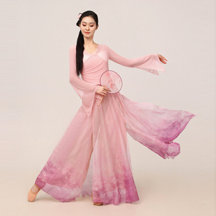 古典舞蹈服蝴蝶网纱身韵纱衣中国民族舞练功服艺考基训演出服套装