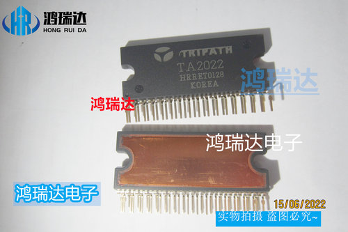 TA2022 ZIP-32 直插 数字音频功率放大器 现货可直拍