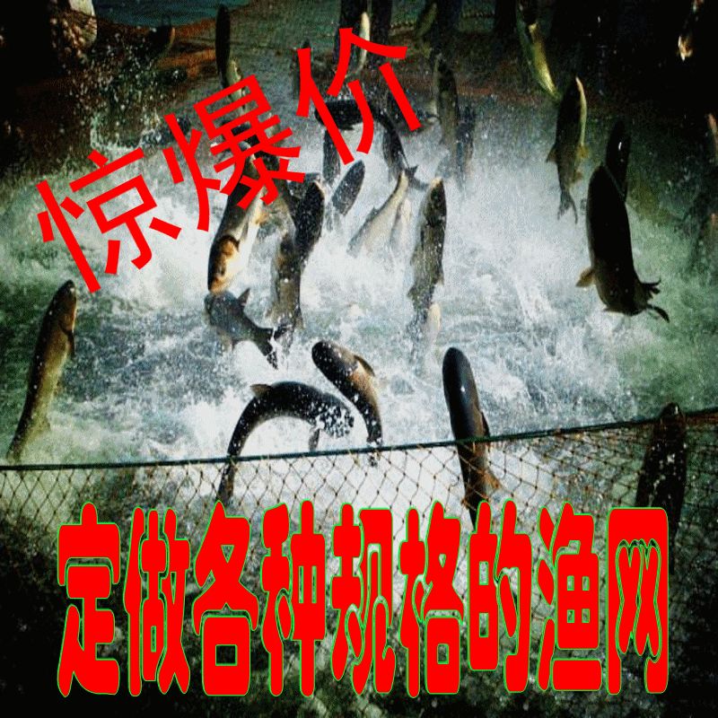 專業定做漁網網箱拉網拖網清塘網攔河網隔斷網爬藤網養殖網擡網在類目 戶外/登山/野營/旅行用品, 垂釣裝備, 魚網/蝦籠/其它漁具中 - 來自Buy2taobao.com提供專業的淘寶代購服務