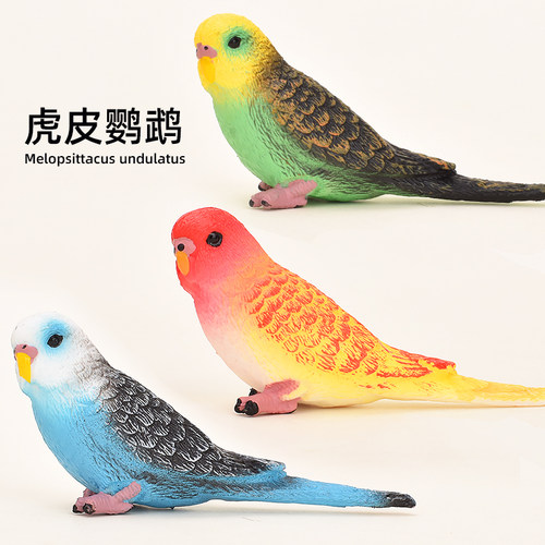 虎皮鹦鹉玩偶仿真模型玩具摆件