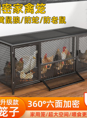 鸡笼子家用加密鸡笼！热销推荐！