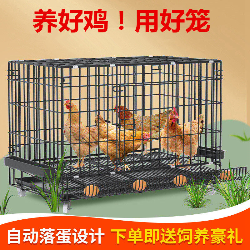 鸡笼子家用大号特大加粗养殖笼鸡舍鸡笼鸭笼折叠自动滚蛋鸡笼包邮属于什么档次？