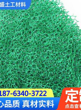 定制生态护坡植草三维植被网 EM5绿色塑料三维植被网 EM3土工网垫