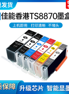 适用Canon佳能PIXMA TS8870打印机730 731 PGI730墨盒CLI731墨盒