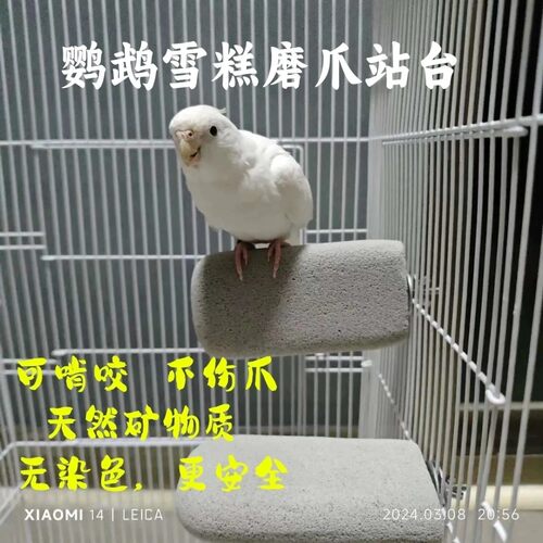 鹦鹉小雪糕磨爪站台磨砂磨爪棒牡