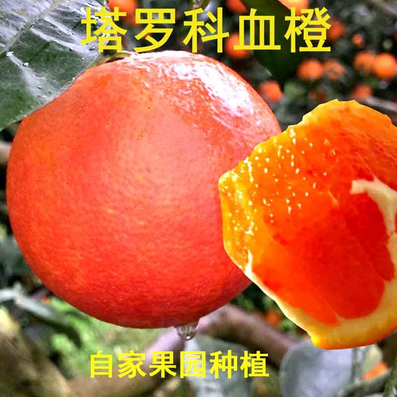 血橙新鲜现摘当季手剥橙子橘子