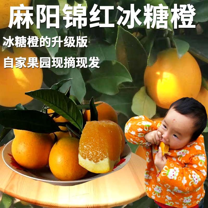 湖南麻阳锦红冰糖橙纯甜新鲜水果农家自产现货现发应季薄皮甜橙子,水产肉类/新鲜蔬果/熟食,橙,淘宝优惠券,粉丝福利购,淘宝优惠卷