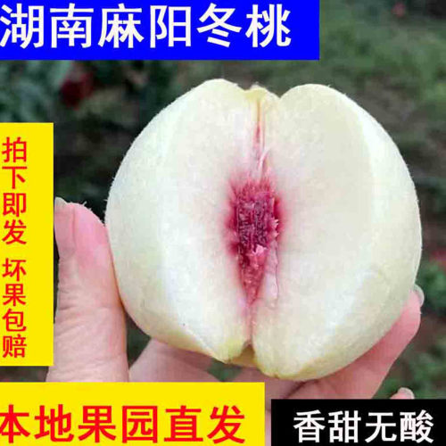 怀化麻阳现摘冬桃新鲜脆甜包邮