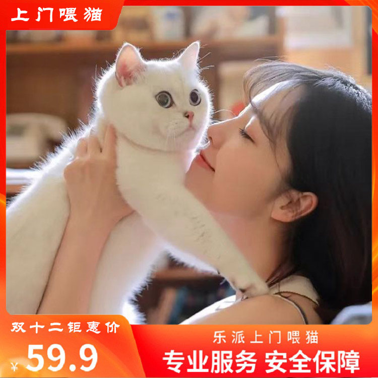 上门喂猫宠物托管到家代喂北京上海广州深圳天津重庆成都武汉杭州