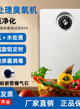 2000mg臭氧发生器家用洗菜消毒机果蔬肉类降解农残鱼缸水池消毒器
