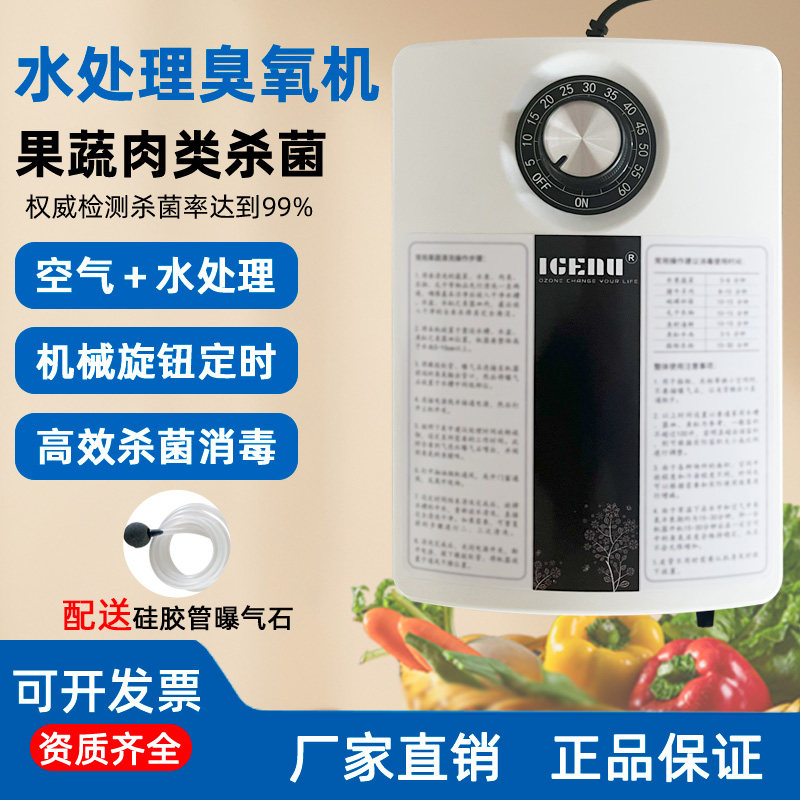 2000mg臭氧发生器家用洗菜消毒机果蔬肉类降解农残鱼缸水池消毒器